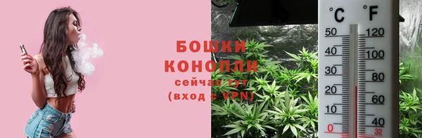 молекула духа Магадан