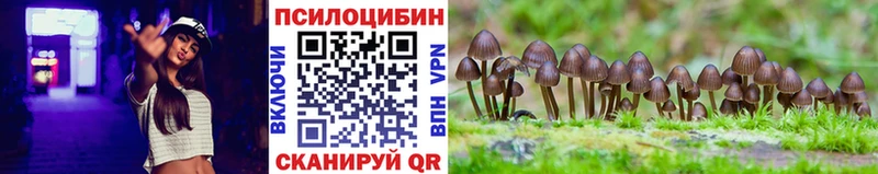 Галлюциногенные грибы Cubensis это наркотические препараты Нижнеудинск kraken как войти
