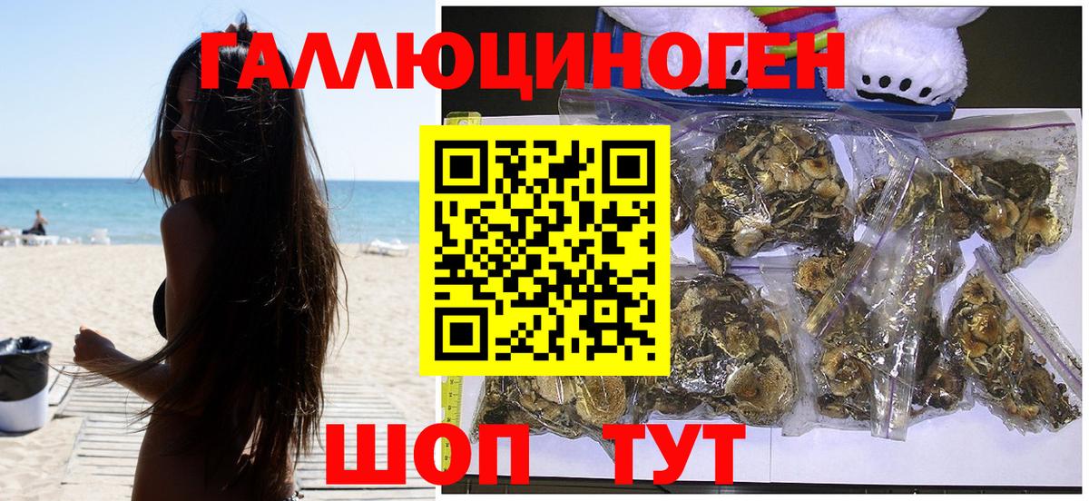 Нижнеудинск  Галлюциногенные грибы ЛСД  Вход с VPN 