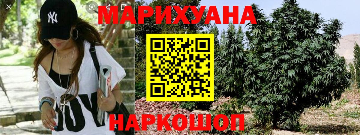 МАРИХУАНА планчик Нижнеудинск
